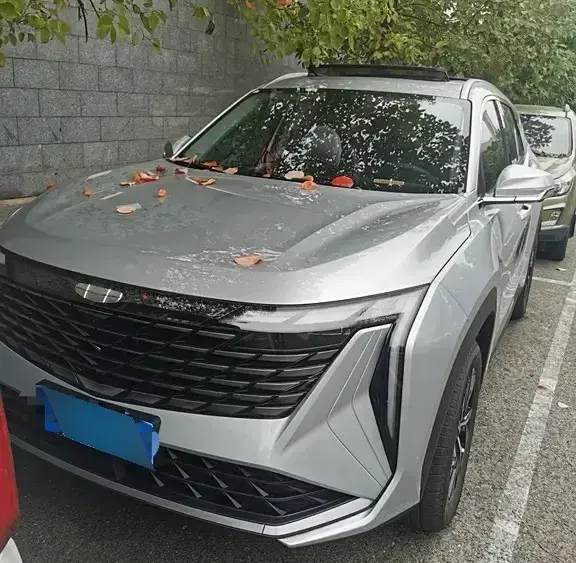 2024 Geely StarRay 1.5T 181HP L4 7DCT