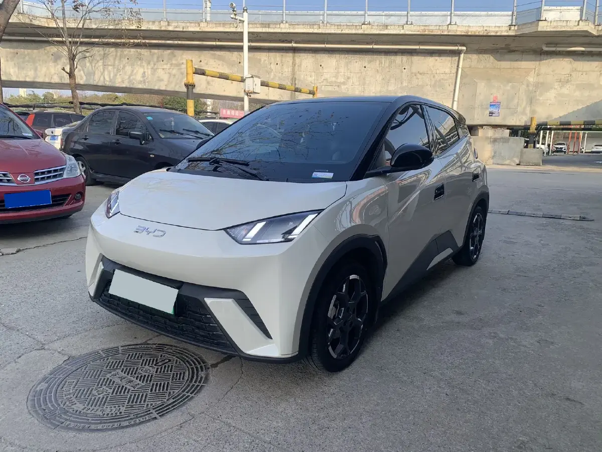 2024 BYD Seagull BEV 38.88KWH