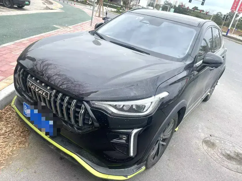 2021 Haval Rabbit 1.5T 184HP L4 7DCT