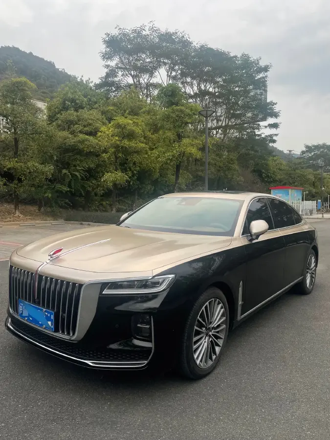 2020 HongQi H9 2.0T 252HP L4 7DCT