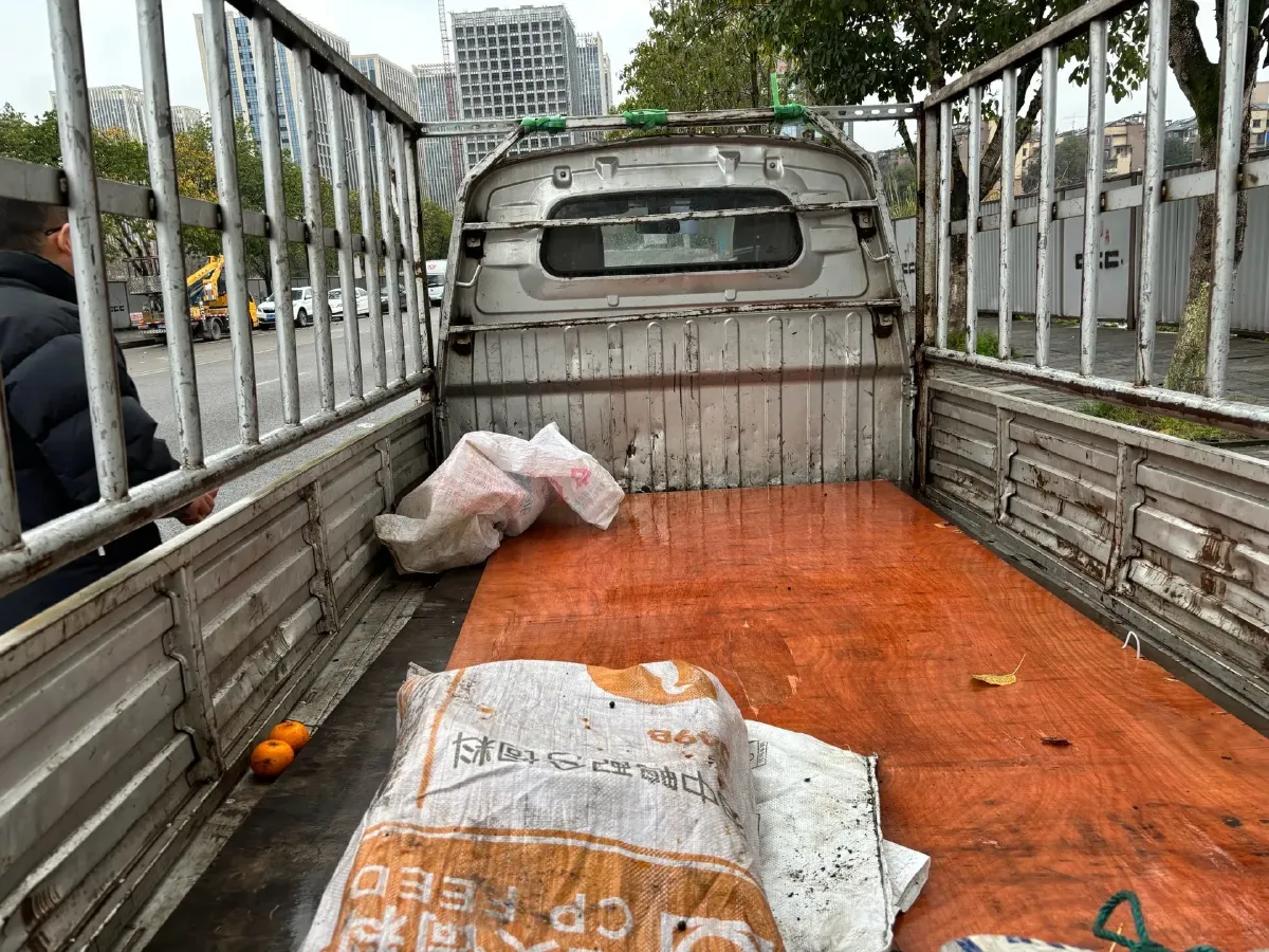 2021 WuLing Electric Truck BEV 41.86KWH,autocango,china used car exporter,china ev exporter,chinese used car exporter,chinese used ev exporter