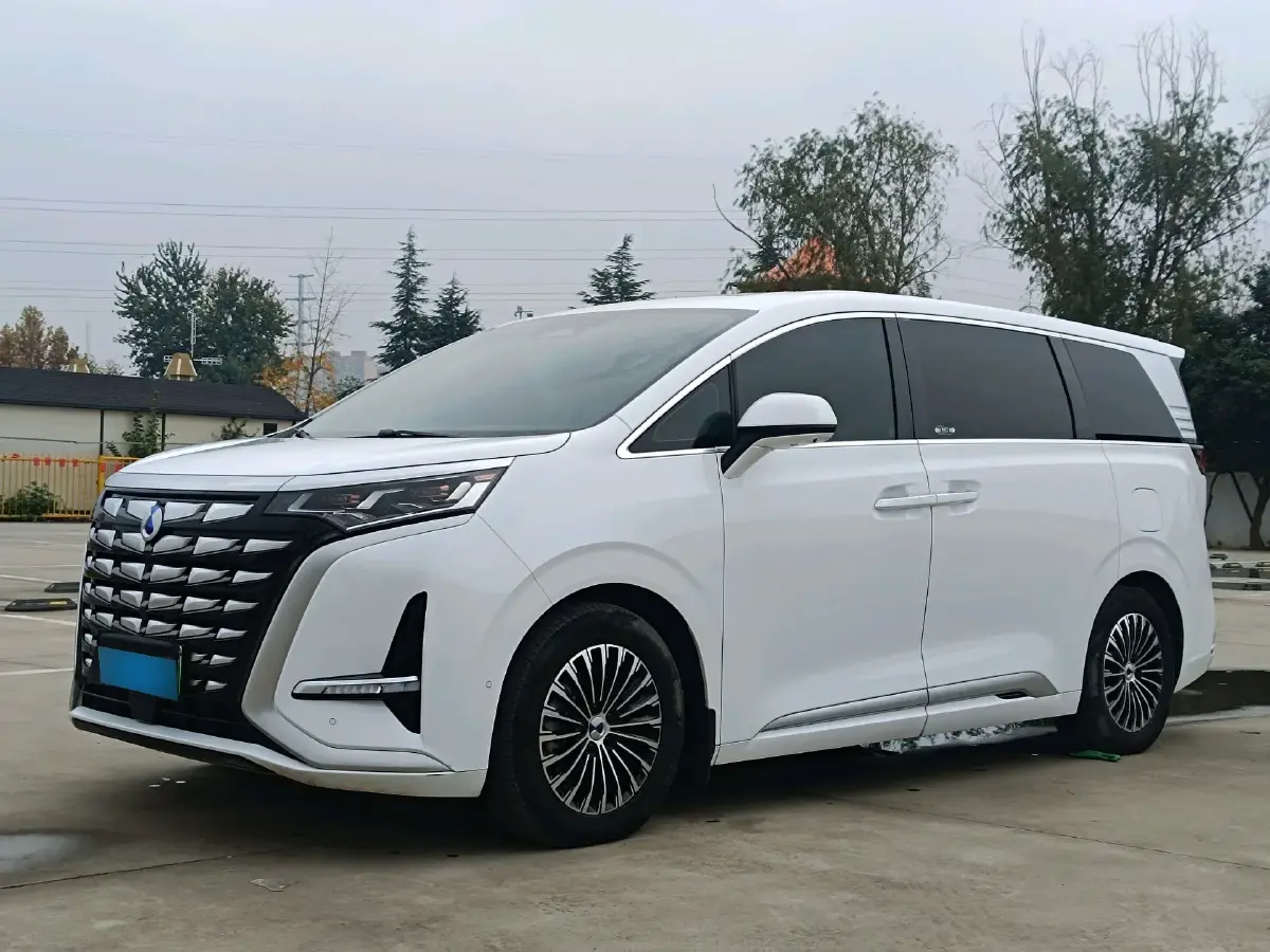 2022 Denza D9 1.5T 139HP L4 E-CVT PHEV 40.06KWH