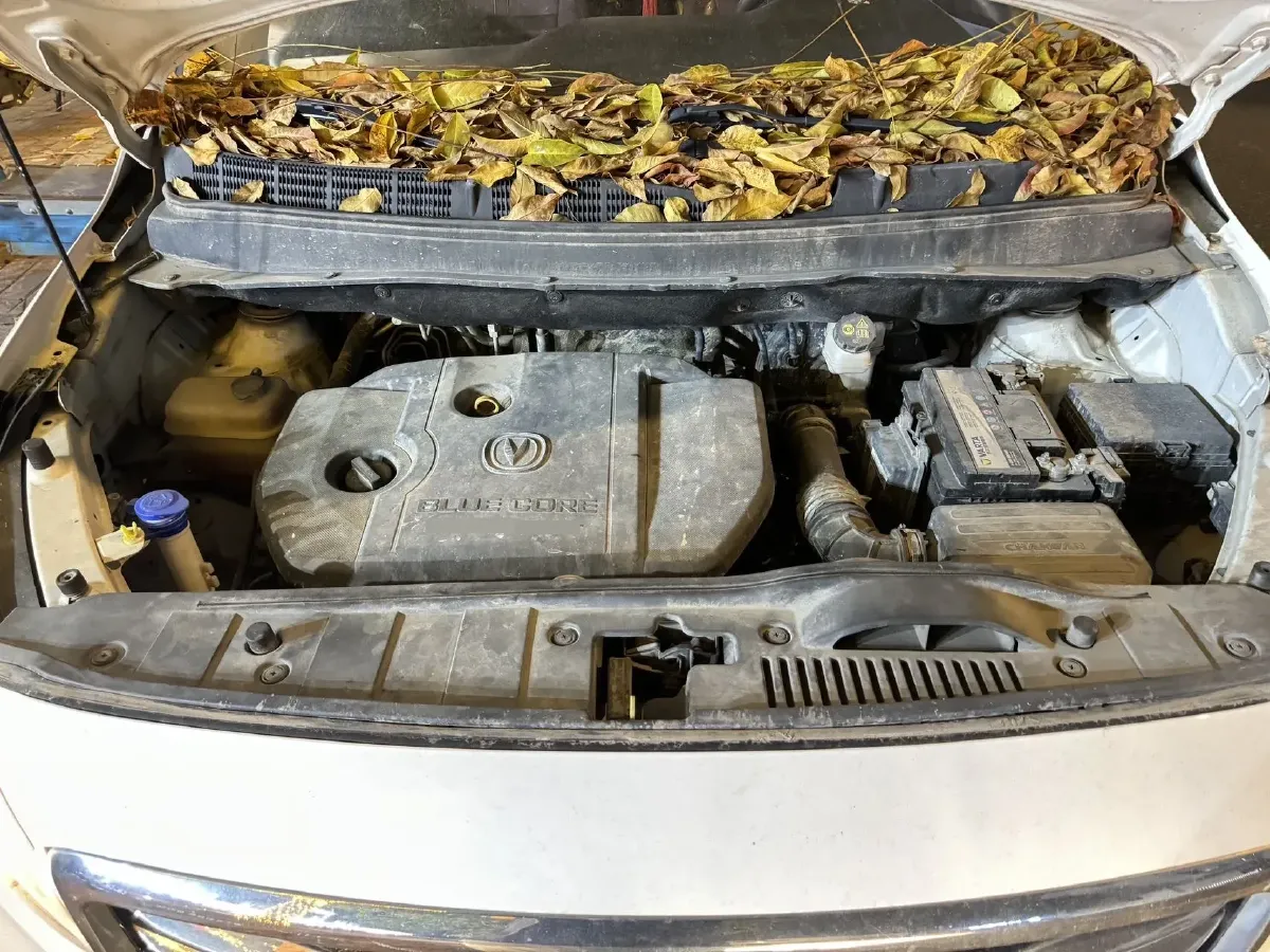 2017 ChangAn Linmax 1.6L 125HP L4 5MT,autocango,china used car exporter,china ev exporter,chinese used car exporter,chinese used ev exporter