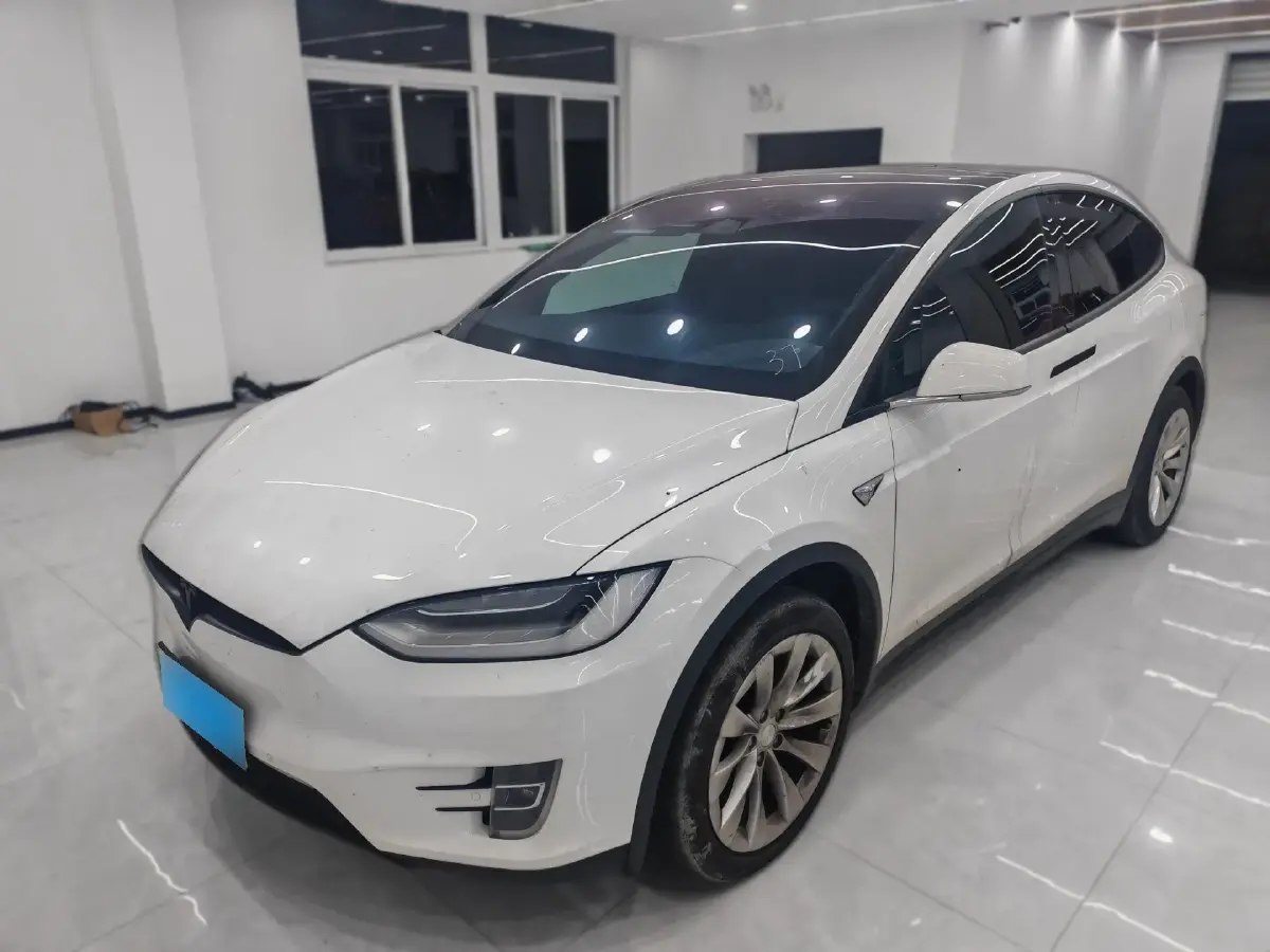 2020 Tesla Model X BEV 100KWH