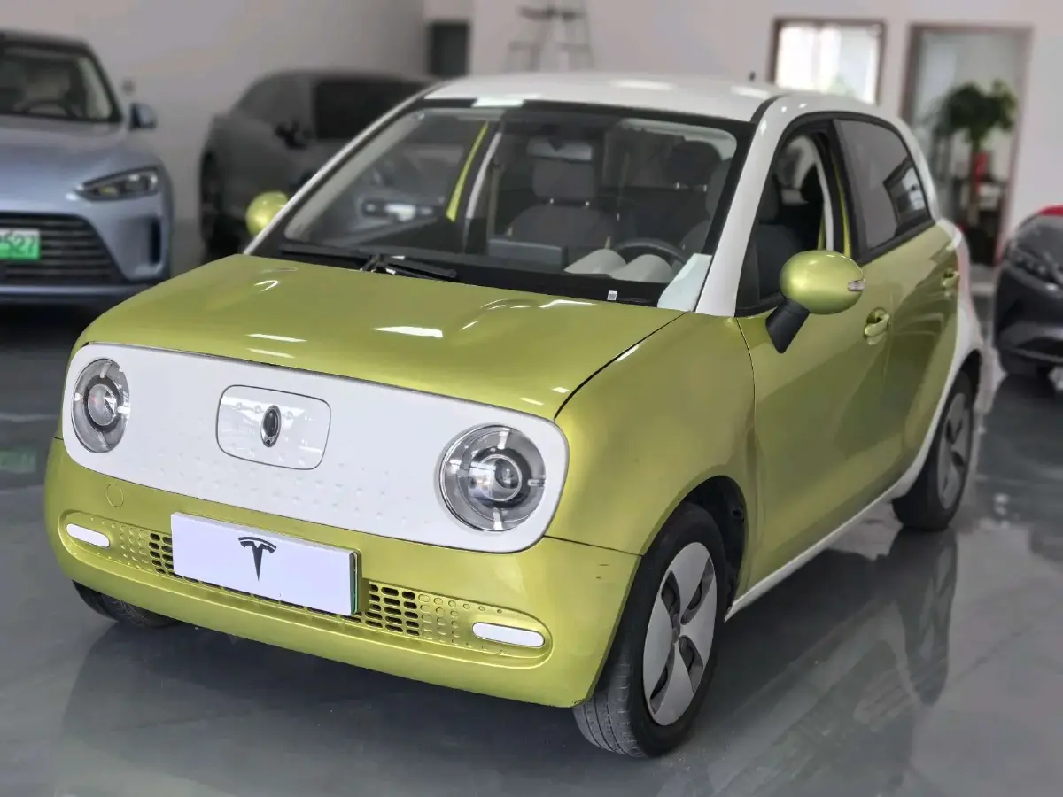 2019 Ora BlackCat BEV 28.5KWH