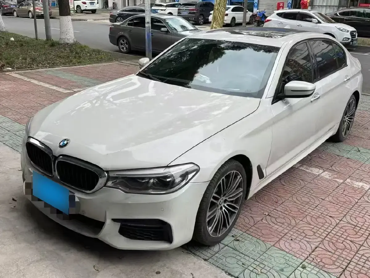 2018 BMW 5 Series 2.0T 252HP L4 8AT