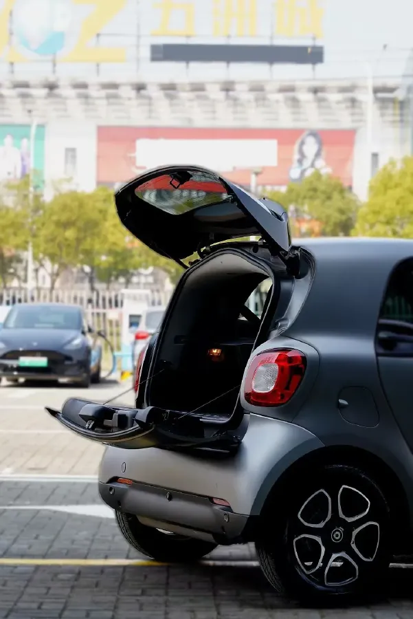 2016 Smart smart fortwo 0.9T 90HP L3 6DCT,autocango,china used car exporter,china ev exporter,chinese used car exporter,chinese used ev exporter