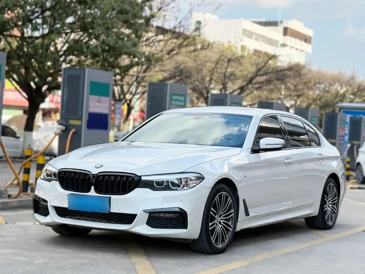 2019 BMW 5 Series 2.0T 252HP L4 8AT