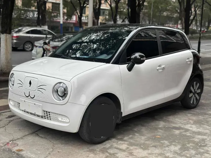 2021 Ora BlackCat BEV 36KWH,autocango,china used car exporter,china ev exporter,chinese used car exporter,chinese used ev exporter