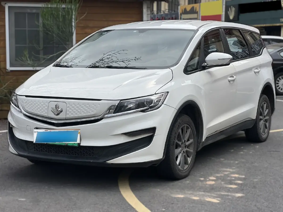 2021 Livan Maple 80v BEV 53KWH