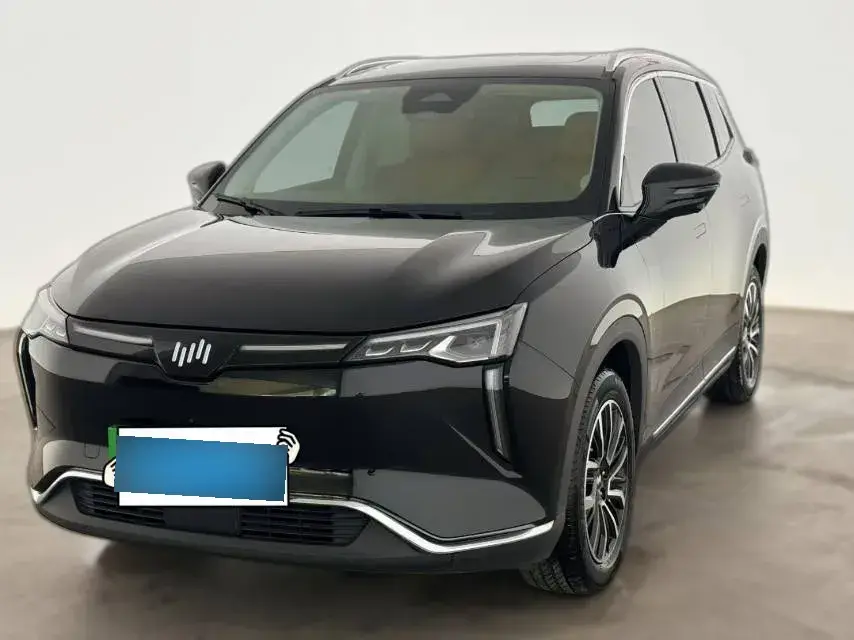 2021 Weltmeister W6 BEV 66.231KWH