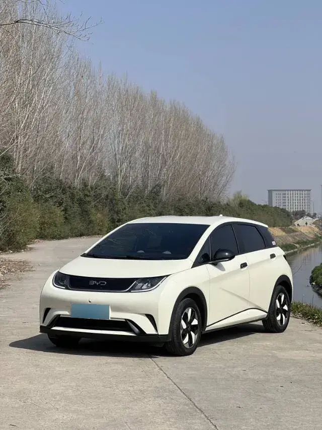 2024 BYD Dolphin BEV 44.928KWH