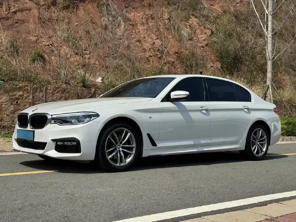 2018 BMW 5 Series 2.0T 184HP L4 8AT