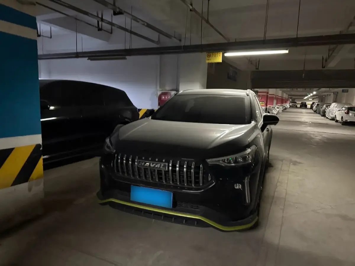 2021 Haval Rabbit 1.5T 184HP L4 7DCT