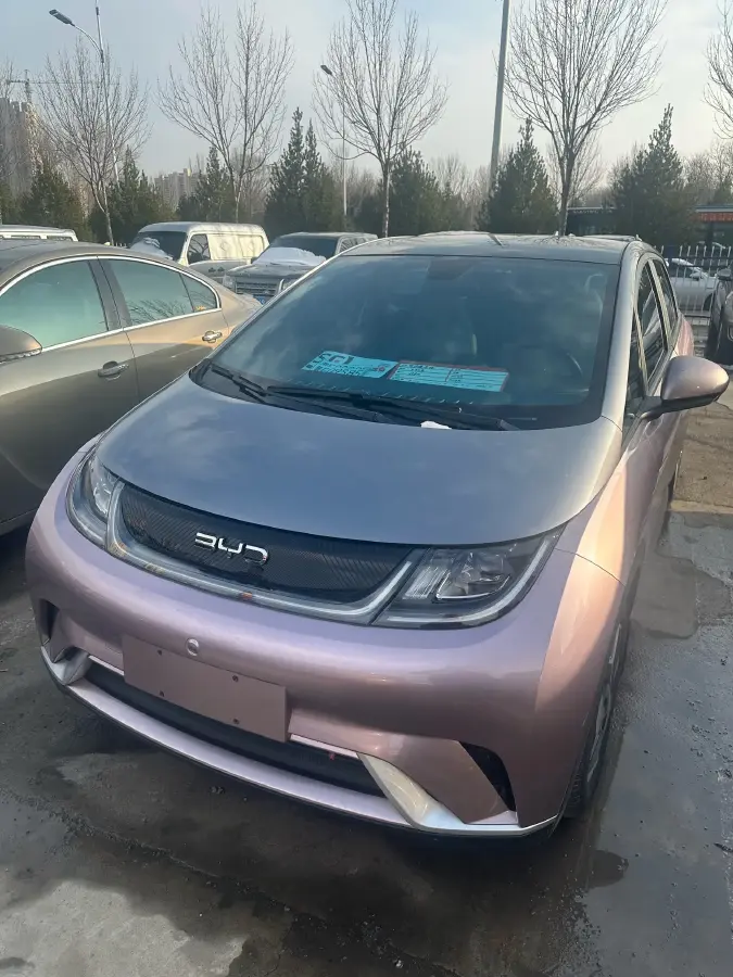 2021 BYD Dolphin BEV 44.9KWH