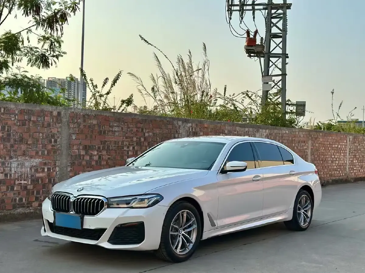 2021 BMW 5 Series 2.0T 184HP L4 8AT