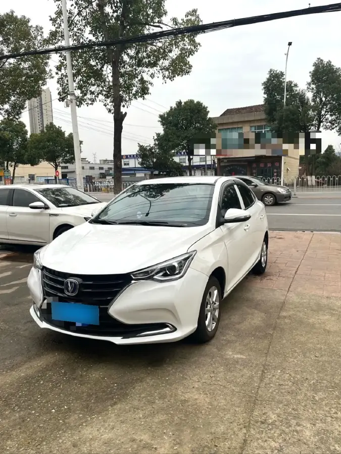 2009 ChangAn Alsvin 1.5L 98HP L4 5MT