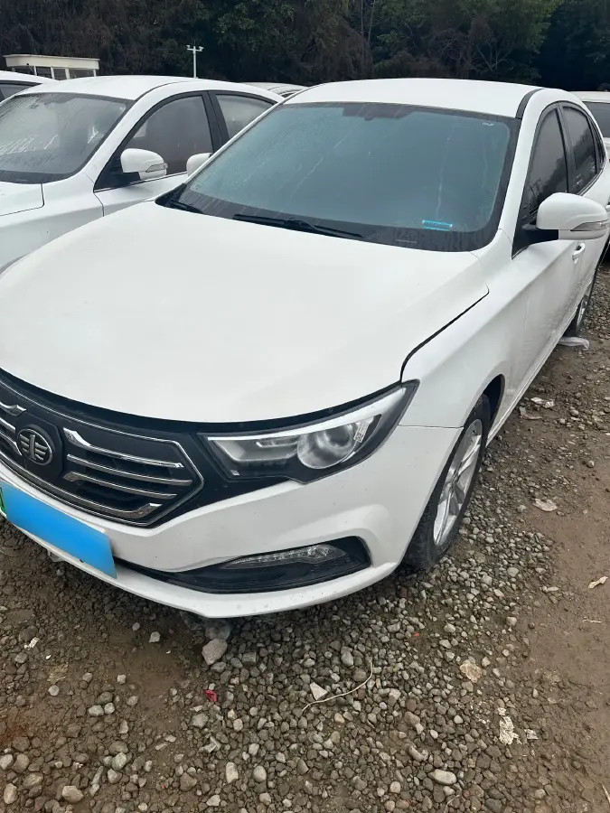 2019 Bestune B30 EV BEV 51.06KWH