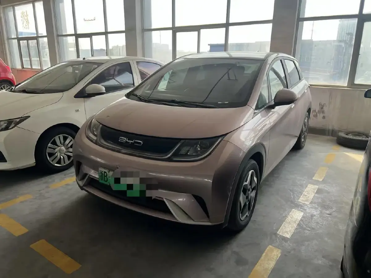 2021 BYD Dolphin BEV 44.9KWH