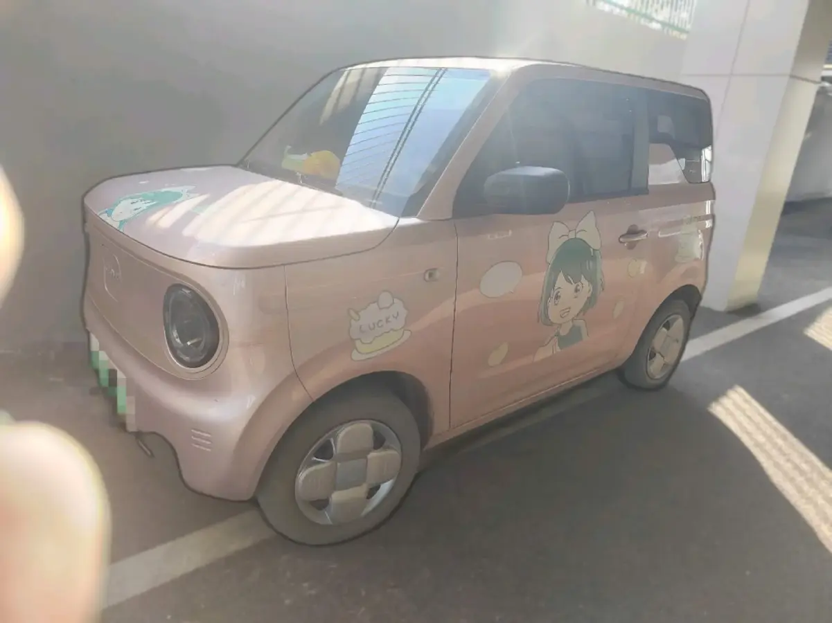 2023 Geely Galaxy Panda BEV 17.03KWH