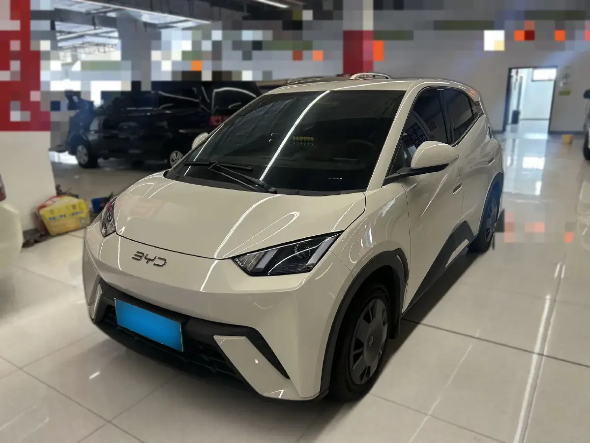 2024 BYD Seagull BEV 30.08KWH