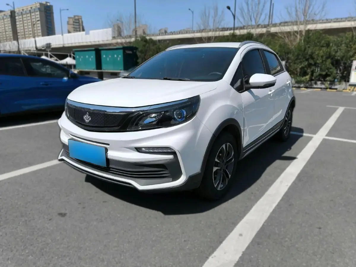 2020 Livan Maple 30X BEV 37KWH