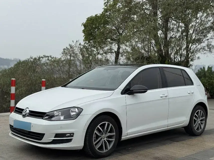 2017 Volkswagen Golf 1.6L 110HP L4 6AT