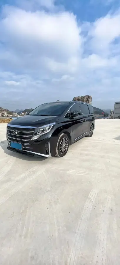 2021 GAC Trumpchi M8 2.0T 252HP L4 8AT