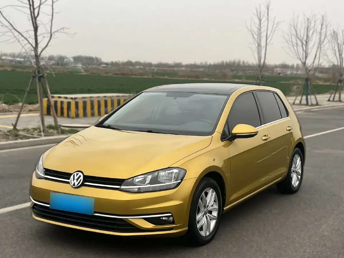 2010 Volkswagen Golf 1.6L 105HP L4 5MT