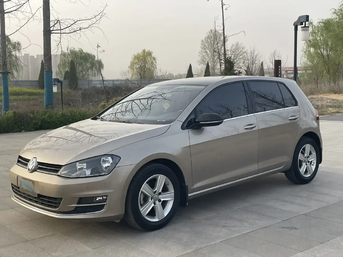 2017 Volkswagen Golf 1.6L 110HP L4 6AT