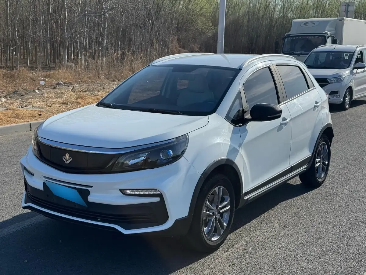 2020 Livan Maple 30X BEV 37KWH