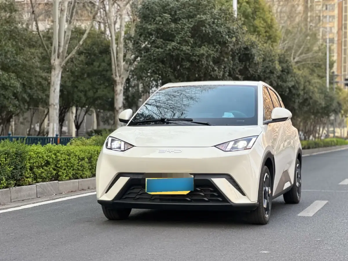 2024 BYD Seagull BEV 38.88KWH