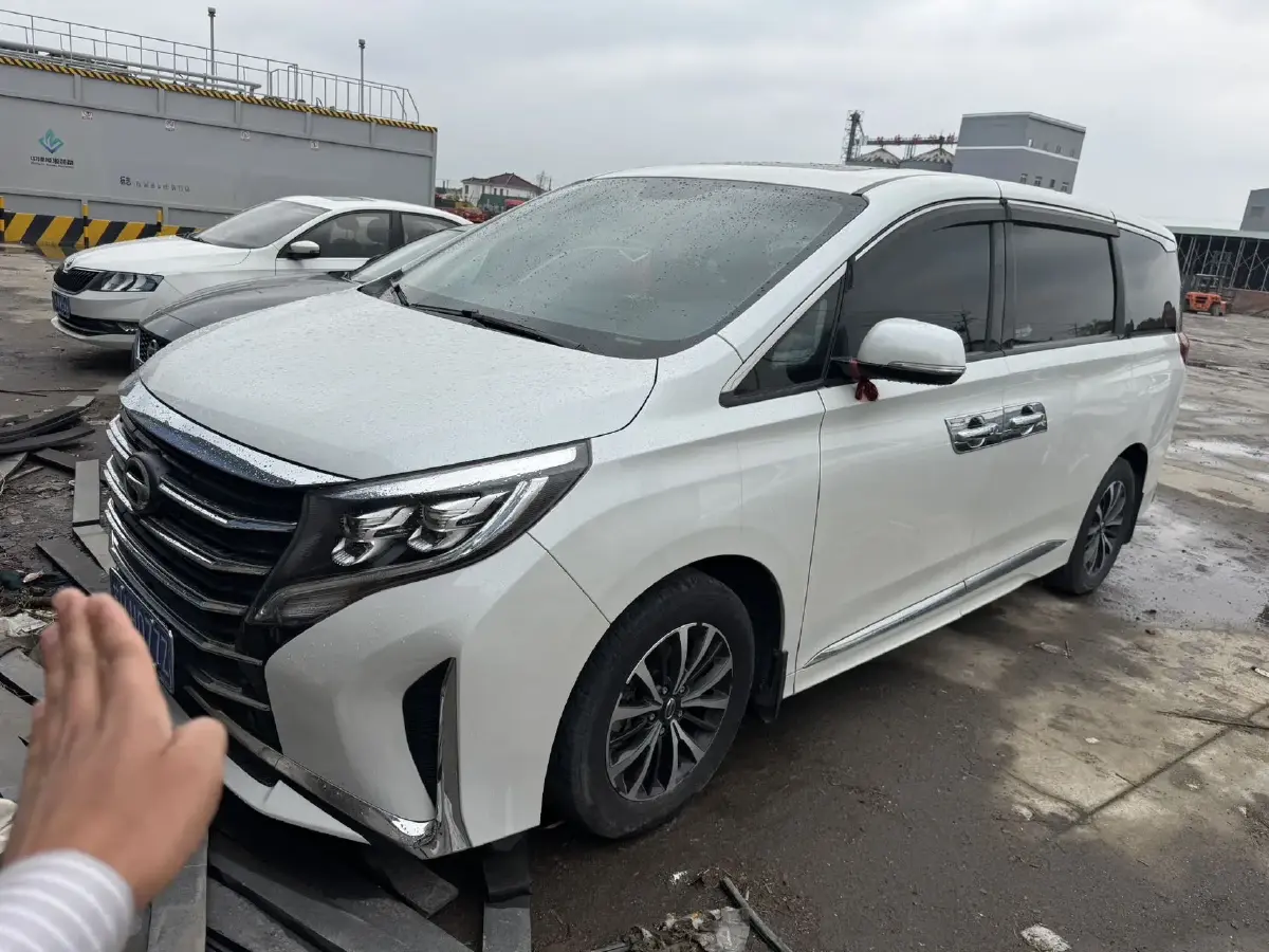2021 GAC Trumpchi M8 2.0T 252HP L4 8AT