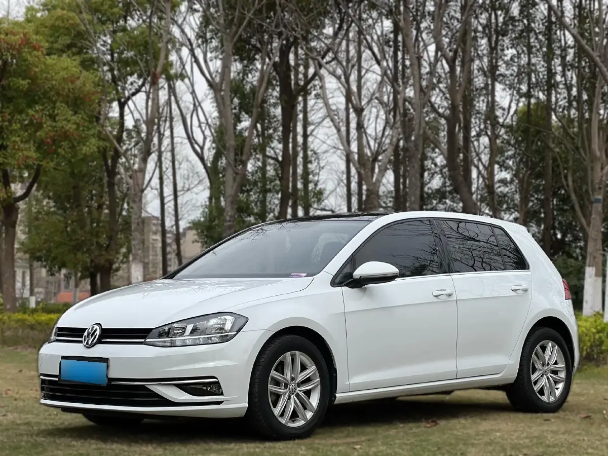 2010 Volkswagen Golf 1.6L 105HP L4 5MT