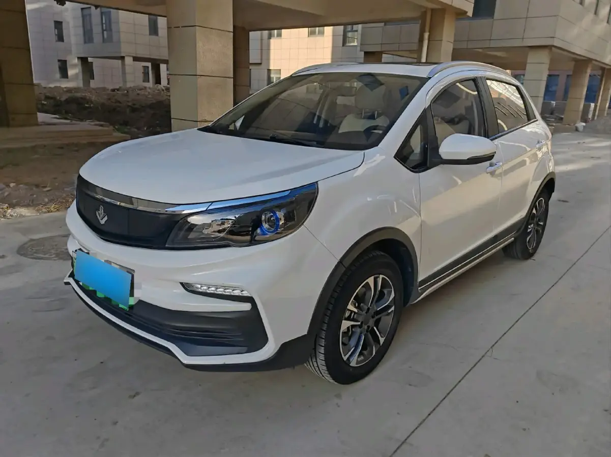 2020 Livan Maple 30X BEV 37KWH