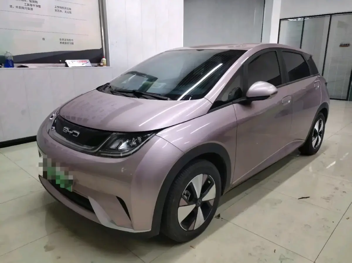 2023 BYD Yuan Pro BEV 38KWH