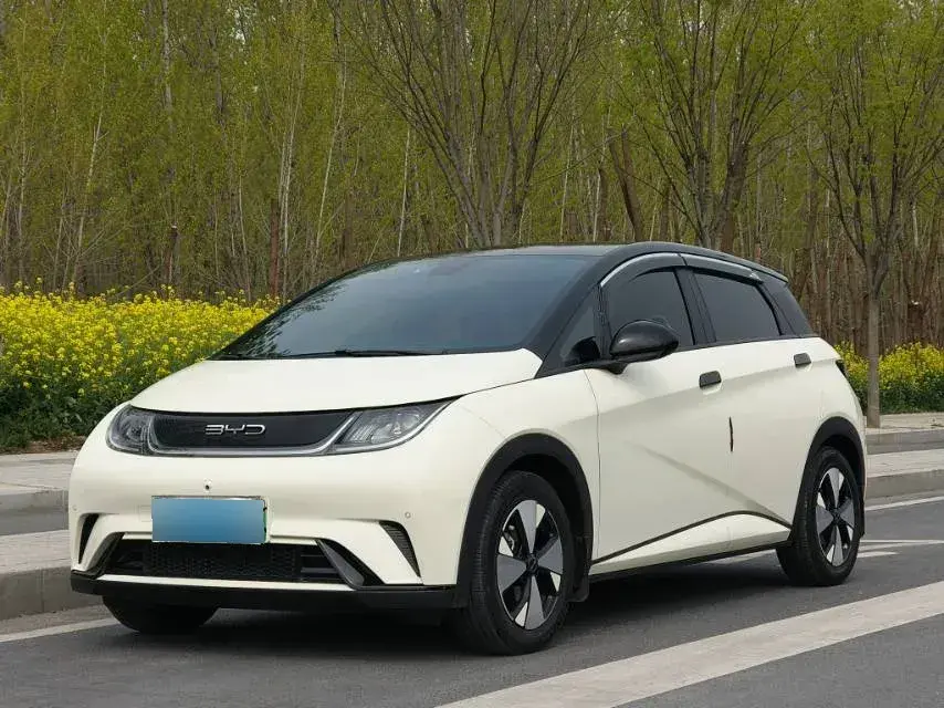 2023 BYD Dolphin BEV 44.928KWH