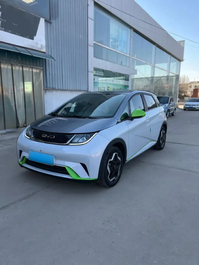 2021 BYD Dolphin BEV 44.9KWH