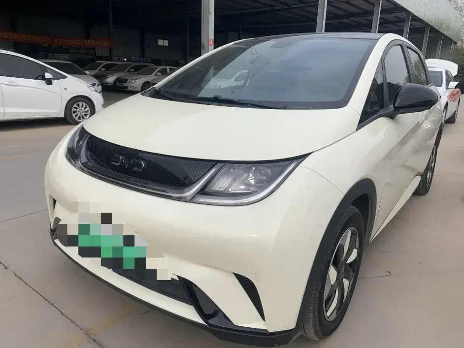 2024 BYD Dolphin BEV 44.928KWH