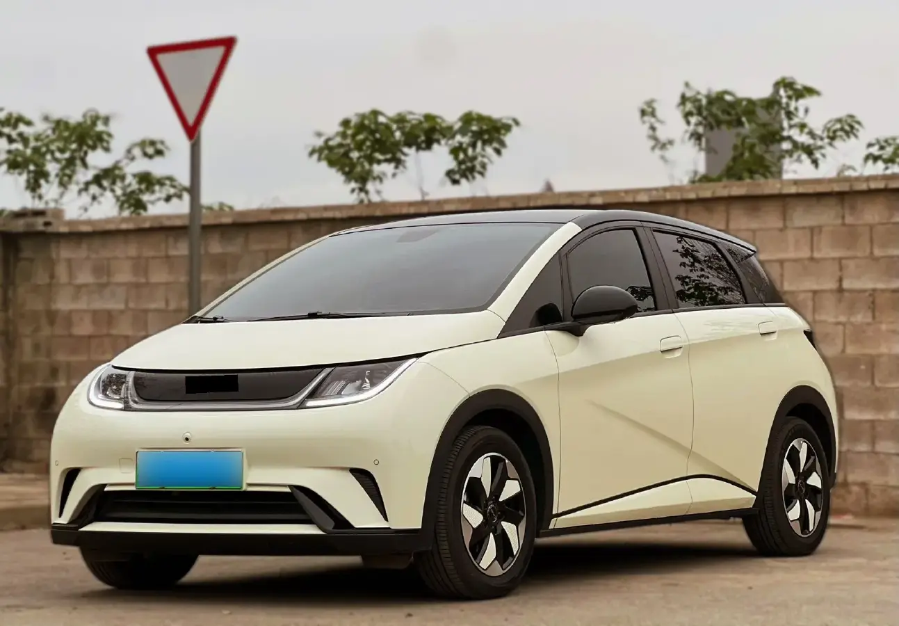 2024 BYD Dolphin BEV 44.928KWH