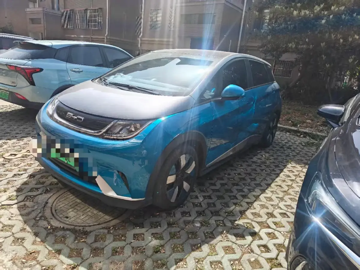 2021 BYD Dolphin BEV 44.9KWH