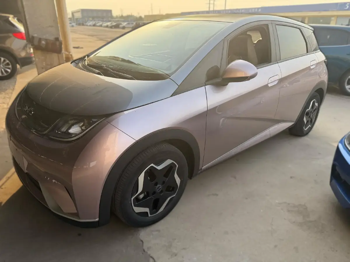 2021 BYD Dolphin BEV 44.9KWH