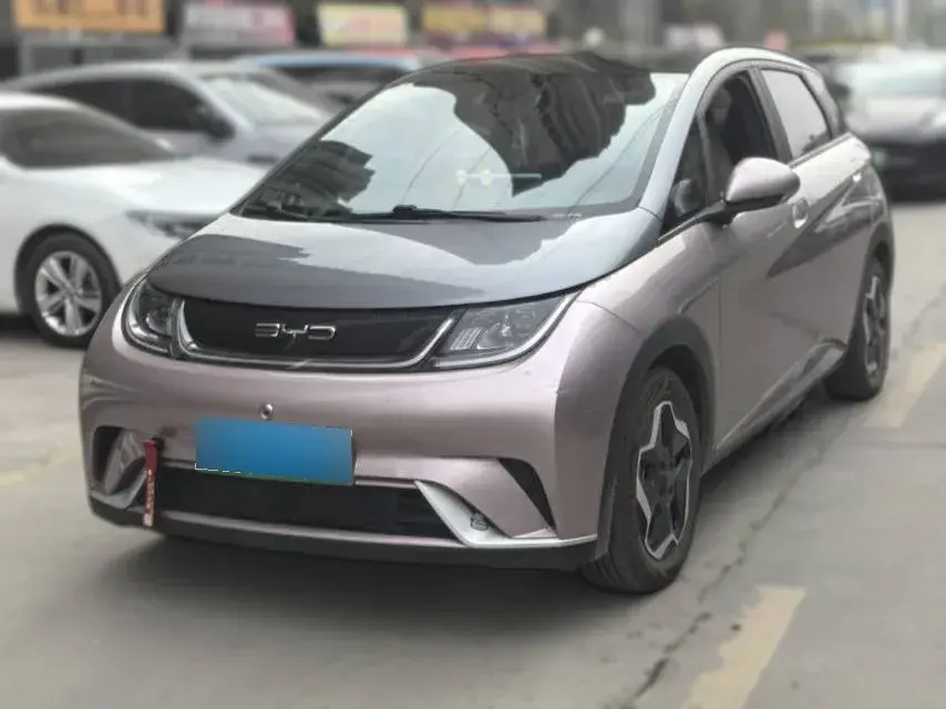 2021 BYD Dolphin BEV 44.9KWH