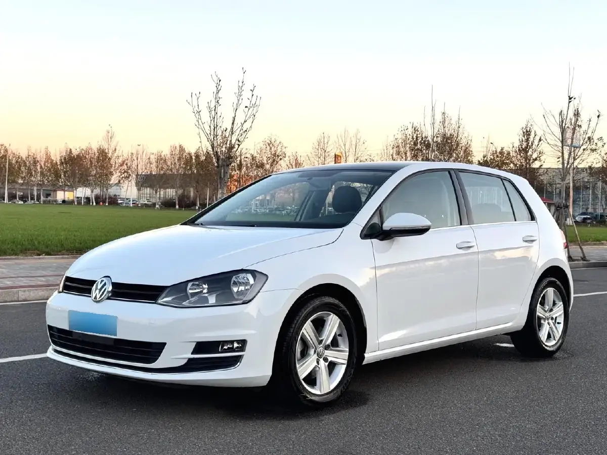 2010 Volkswagen Golf 1.6L 105HP L4 5MT