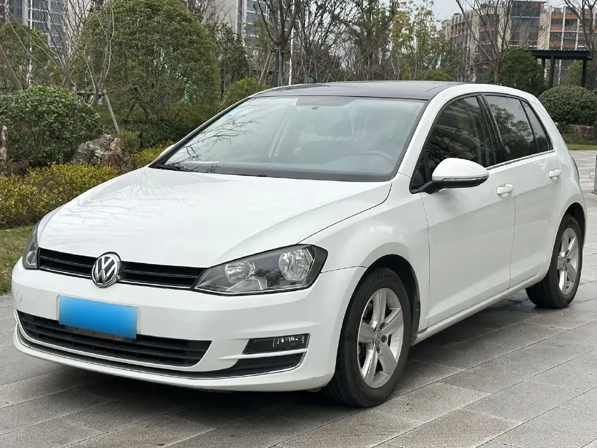 2010 Volkswagen Golf 1.6L 105HP L4 5MT