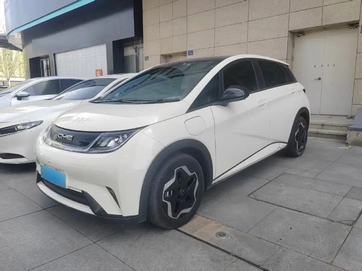 2021 BYD Dolphin BEV 44.9KWH