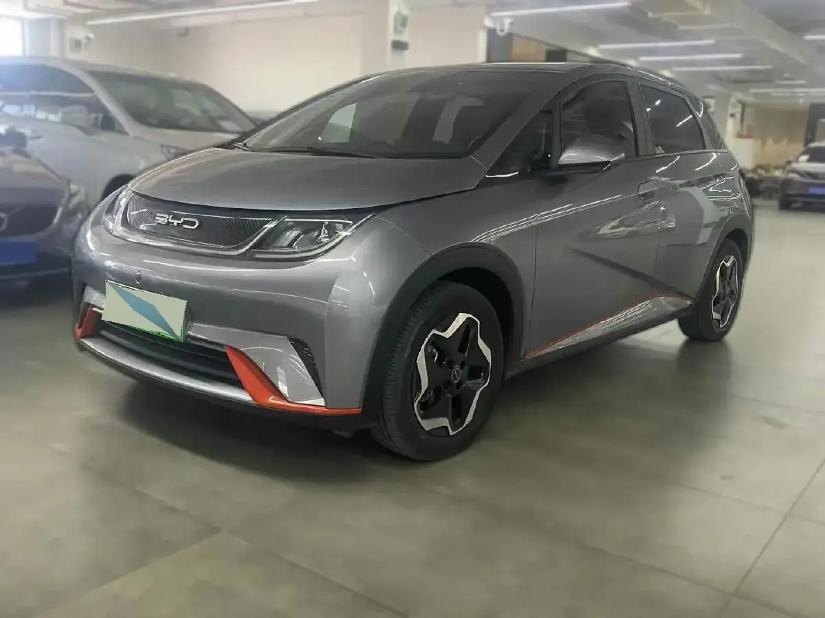 2021 BYD Dolphin BEV 44.9KWH