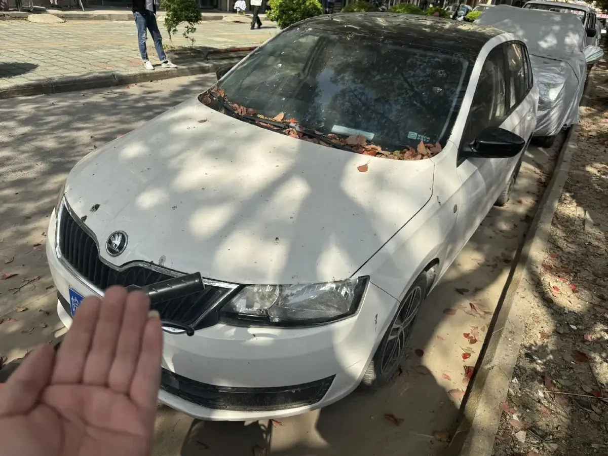 2014 Skoda Rapid Spaceback 1.6L 110HP L4 5MT