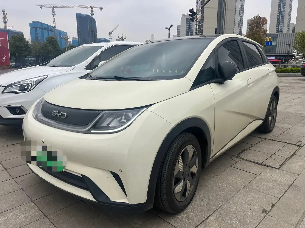 2024 BYD Dolphin BEV 44.928KWH