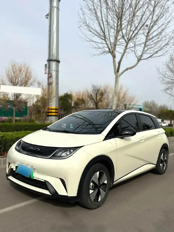 2024 BYD Dolphin BEV 44.928KWH